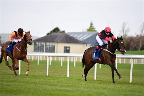 Friday's Irish Horse Racing Tips - Best Bets On August 5