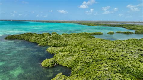 Tools to Assess and Respond to Climate Impacts on Bonaire National ...