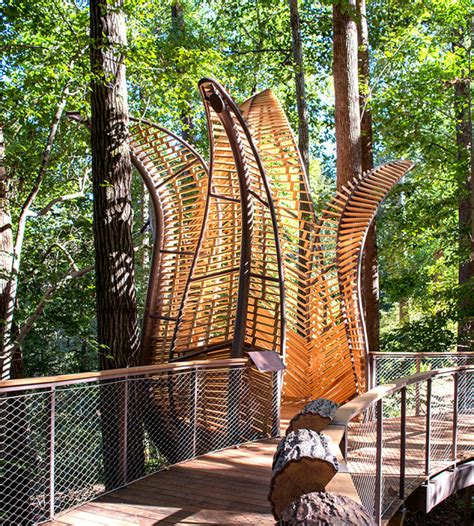 Fernbank Forest Walk | Creative Loafing