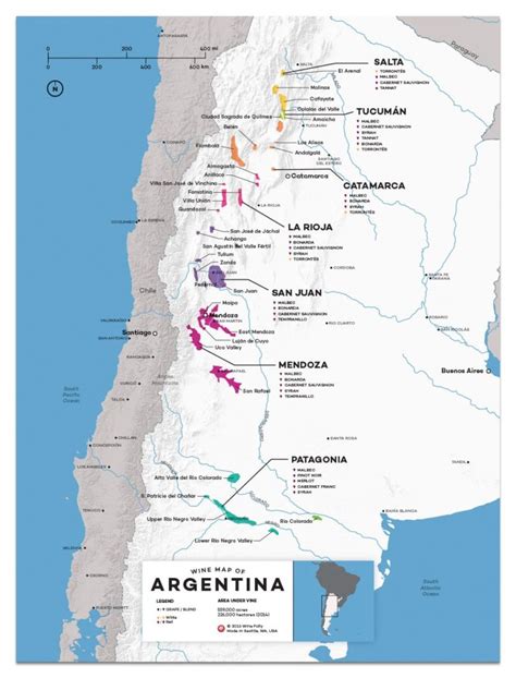 Argentina wine map showing the many wine regions throughout this huge ...