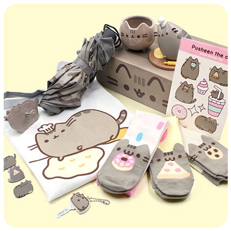 Past Boxes | Pusheen Box