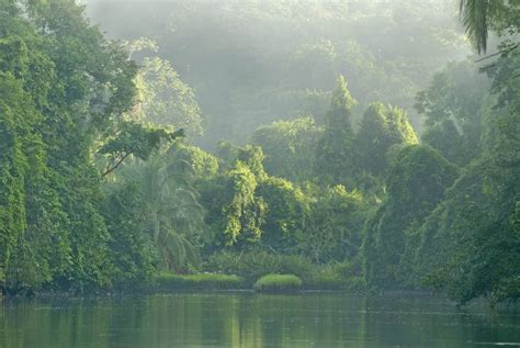 Corcovado National Park & Puerto Jimenez Travel Guide - Costa Rica