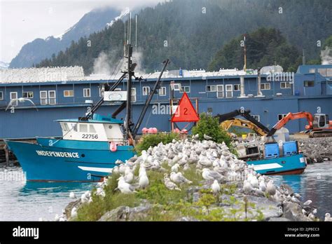 Fishing boats at Whittier Harbor, Alaska Stock Photo - Alamy