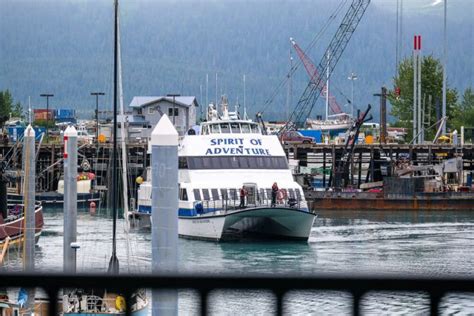 The Best Kenai Fjords Wildlife Cruise - Musings of a Rover