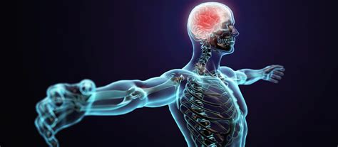 Neuromuscular Activation | Wellwood Health