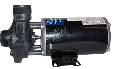 COLEMAN SPA AQUAFLO FMHP, 1 HP, 2 SPEED, 115V, 48 FRAME PUMP | The Spa ...