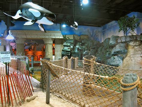 Sand Shark Lagoon Exhibit - Long Island Aquarium