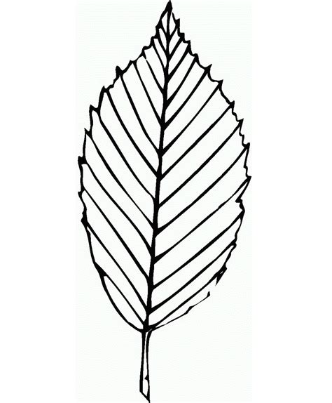 Free Printable Leaf Coloring Pages For Kids