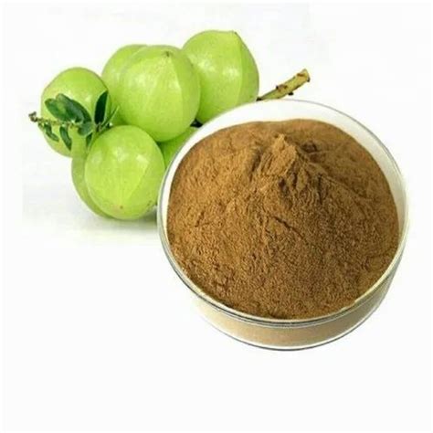 Emblica Officinalis Fruit Extract at Rs 360/kg in Ujjain | ID: 2590654391