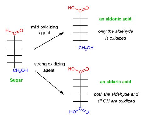 Carbohydrates can be oxidized to Aldonic acid and Aldaric acid | Chemistry, Chemistry notes ...