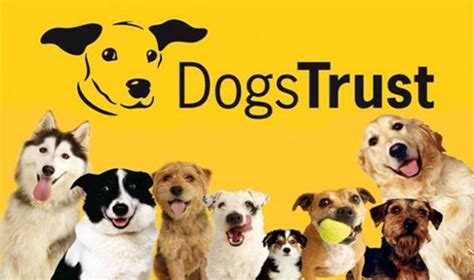 Dogs Trust: What a Place - Mad About Pets UK