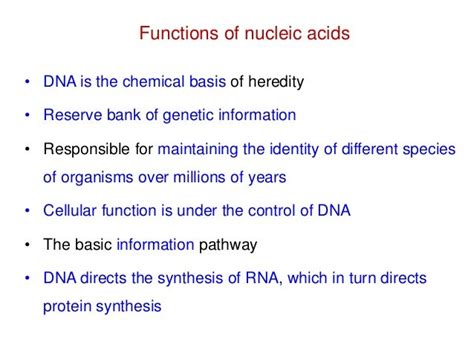 NUCLEIC ACID CHEMISTRY