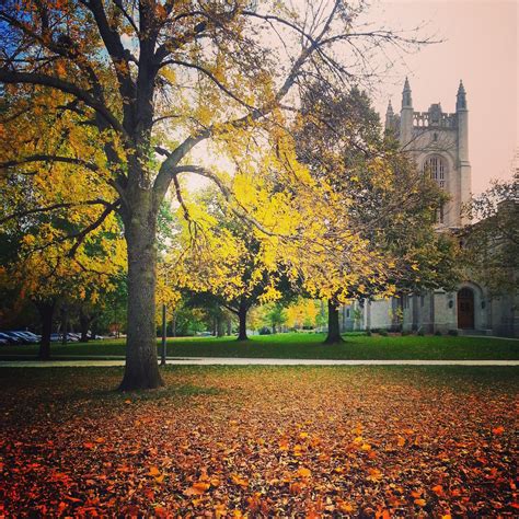 Admissions: Visiting Campus This Fall | Carleton college, Campus visit, College campus