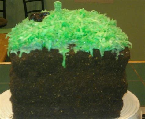 Minecraft dirt block cake. | Cake, Birthdays, Desserts