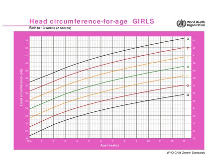 Adult Head Circumference Growth Chart