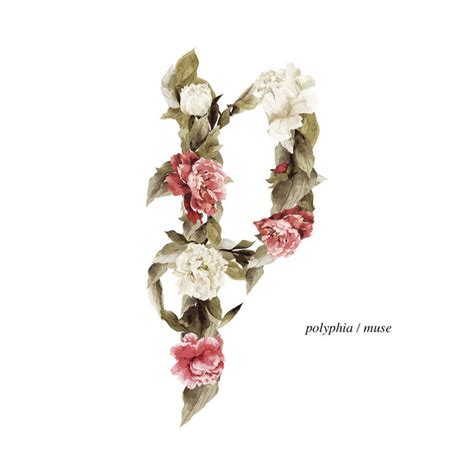 Polyphia Albums Ranked | Return of Rock