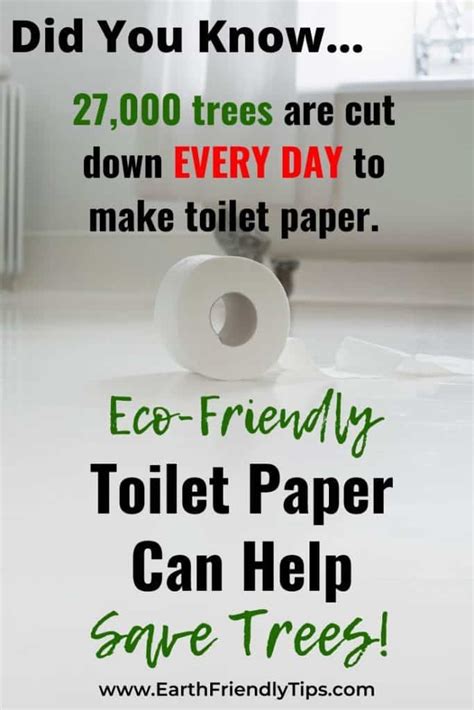 Best Eco-Friendly Toilet Paper for 2024 - Earth Friendly Tips