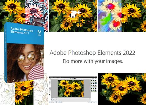 Adobe Photoshop Elements 2022 Software Review - Freelance Photographer ...