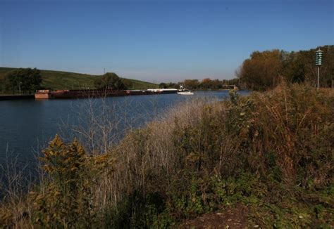 Partnership aims to restore Hegewisch Marsh to its natural state