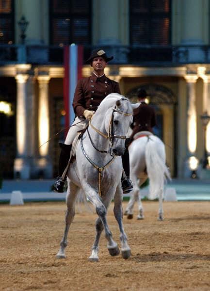 Lipizzan Horses and Dressage in the 1992 Barcelona Olympics - HubPages