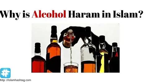 Why is Alcohol haram in Islam - Islam Hashtag