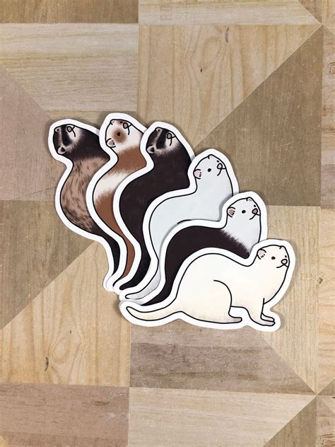 6 pcs Ferret Stickers Ferret Decor Ferret Gift Ferret Art | Etsy