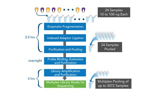 Targeted genotyping kits - Allegro | LGC Biosearch Technologies