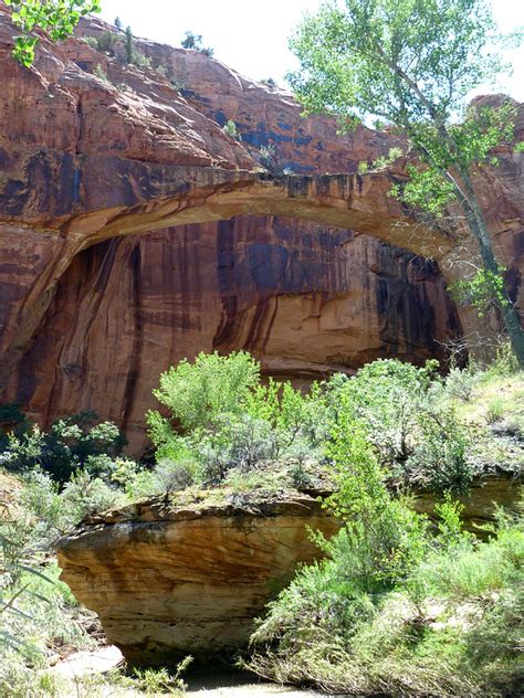 Approaching the bridge: Escalante River Trail, Grand Staircase ...