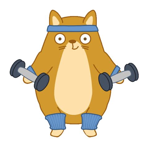 Cat Fitness Sticker by Share It Again - Find & Share on GIPHY | Cute gif, Cat exercise, Motion ...