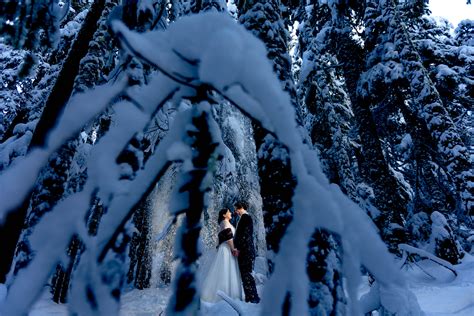 30 Beautiful Forest Wedding Photos - Wedding Maps