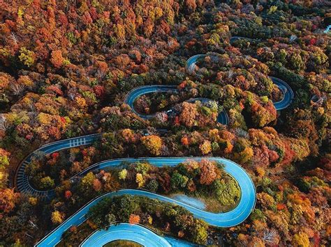 Irohazaka: The Most Beautiful Must-Visit Winding Road In The Autumn ...