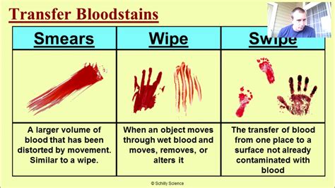 Blood Spatter Lecture - YouTube