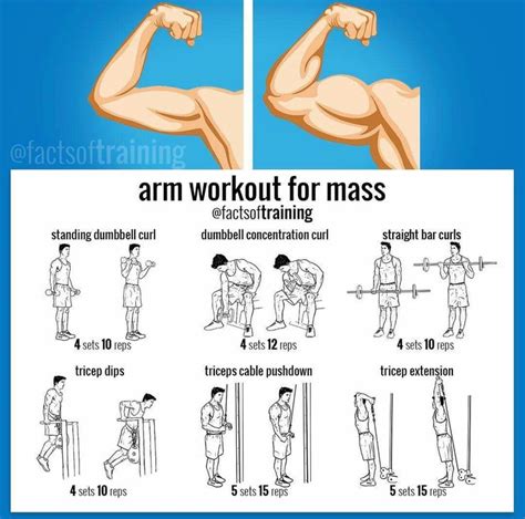 Arm Workout to Build Muscle Mass | Posted By: NewHowToLoseBellyFat.com ...