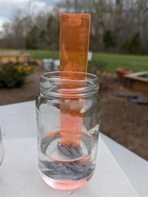 How to Make a Rain Gauge - The Homeschool Scientist