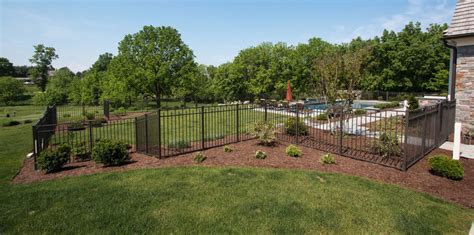 Backyard Dog Fence Ideas & Designs | Freedom Fence Blog