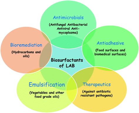 Applications of Biosurfactants | SpringerLink