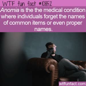 WTF Fun Fact - Anomia