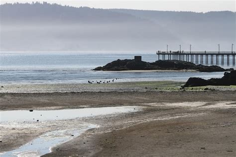 Premium Photo | Coastline of oregon