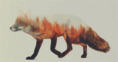 Norwegian Artist Merges Animals And Their Homes In Double Exposure ...