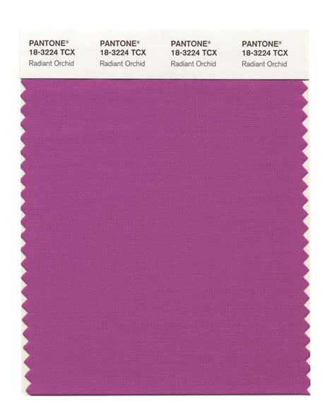 Pantone Color of the Year 2014: Radiant Orchid | Radiant orchid, Pantone color, Pantone