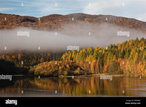 Autumn colors and mist at Loch Faskally, Pitlochry, Perthshire ...