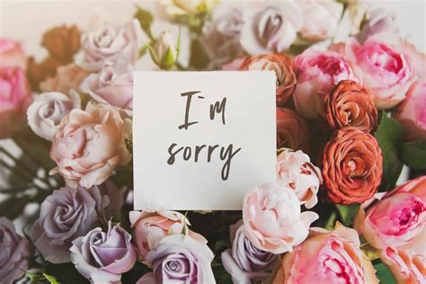 Flowers That Say Sorry: The Best Apology Flowers