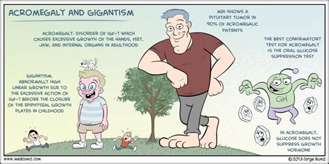 Acromegaly and Gigantism | Pediatric nursing, Medical surgical nursing, Endocrine system nursing