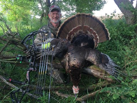 Top 10 Wild Turkey Hunting States | Grand View Outdoors