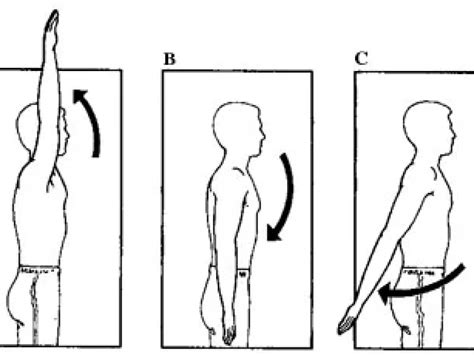 Shoulder Extension - ROM, Muscle, Exercises