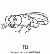 Fly Coloring Page Preschool Children Learn Stock Vector Royalty Free  sketch template