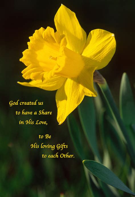 Quotes about Daffodils (41 quotes)