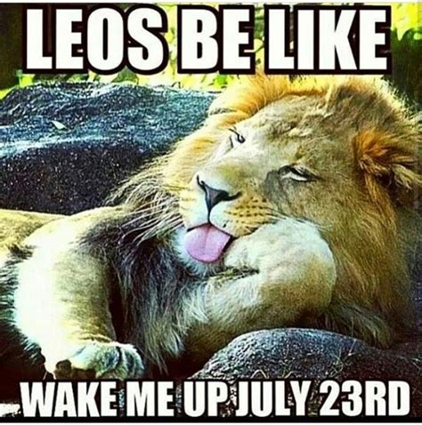 Pin by Faith Morris on LEO 2 | Lion memes, Funny animals, Leo zodiac facts