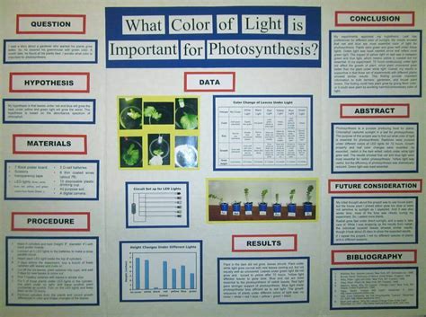 Science Fair Poster Board Layout
