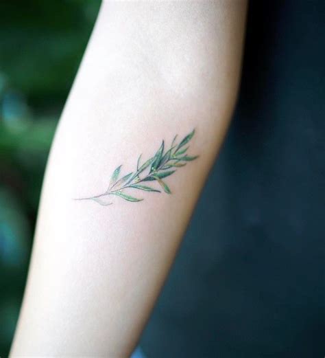 25 Splendid Olive Branch Tattoo Designs - Page 2 of 2 - TattooBloq | Olive tattoo, Olive branch ...